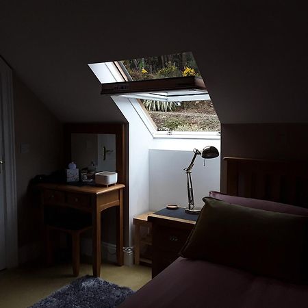 Forest View Woodland Lodge Ballard Екстер'єр фото